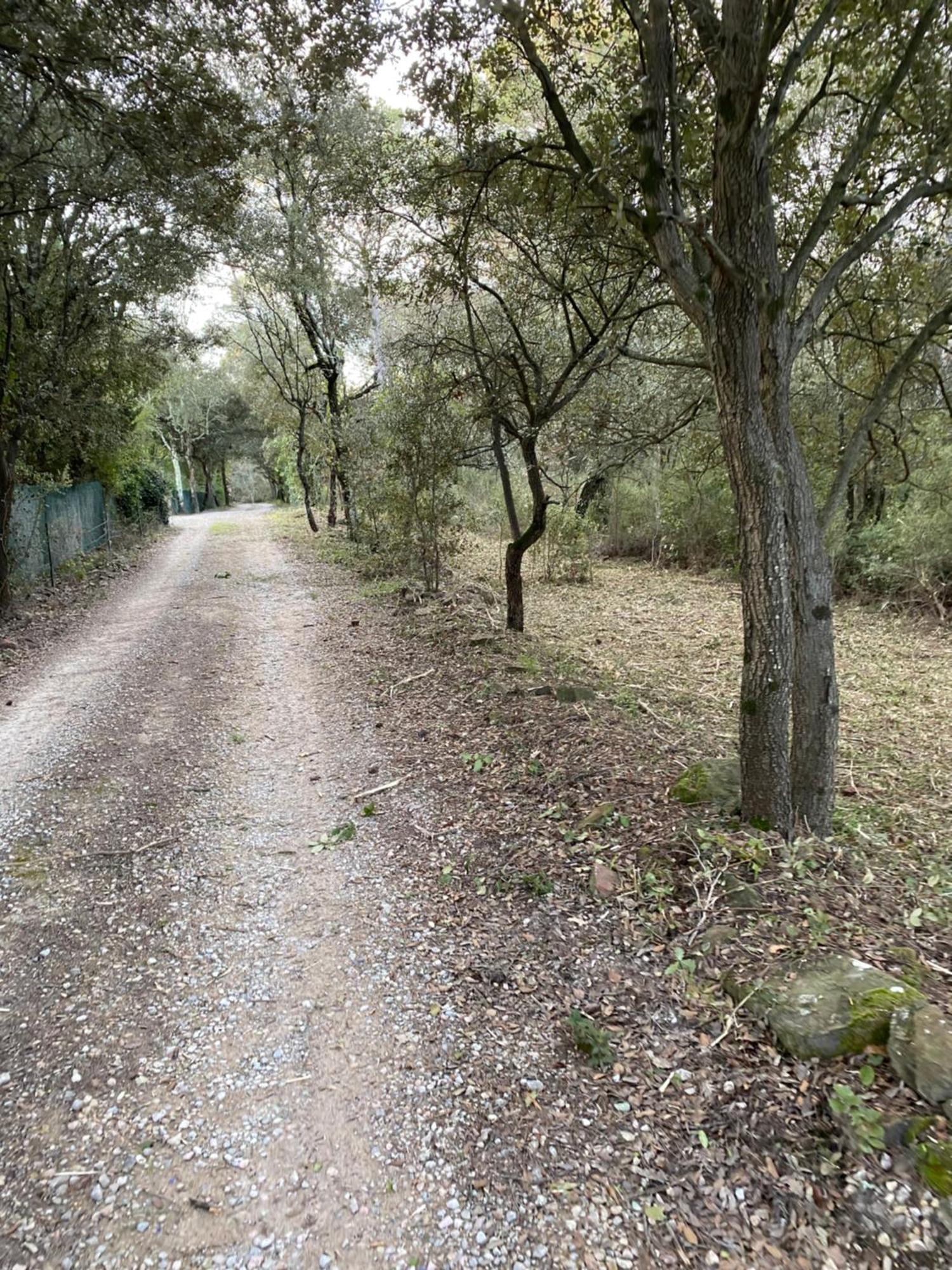 Résidence Gabrielle Le Cannet-des-Maures Exterior foto