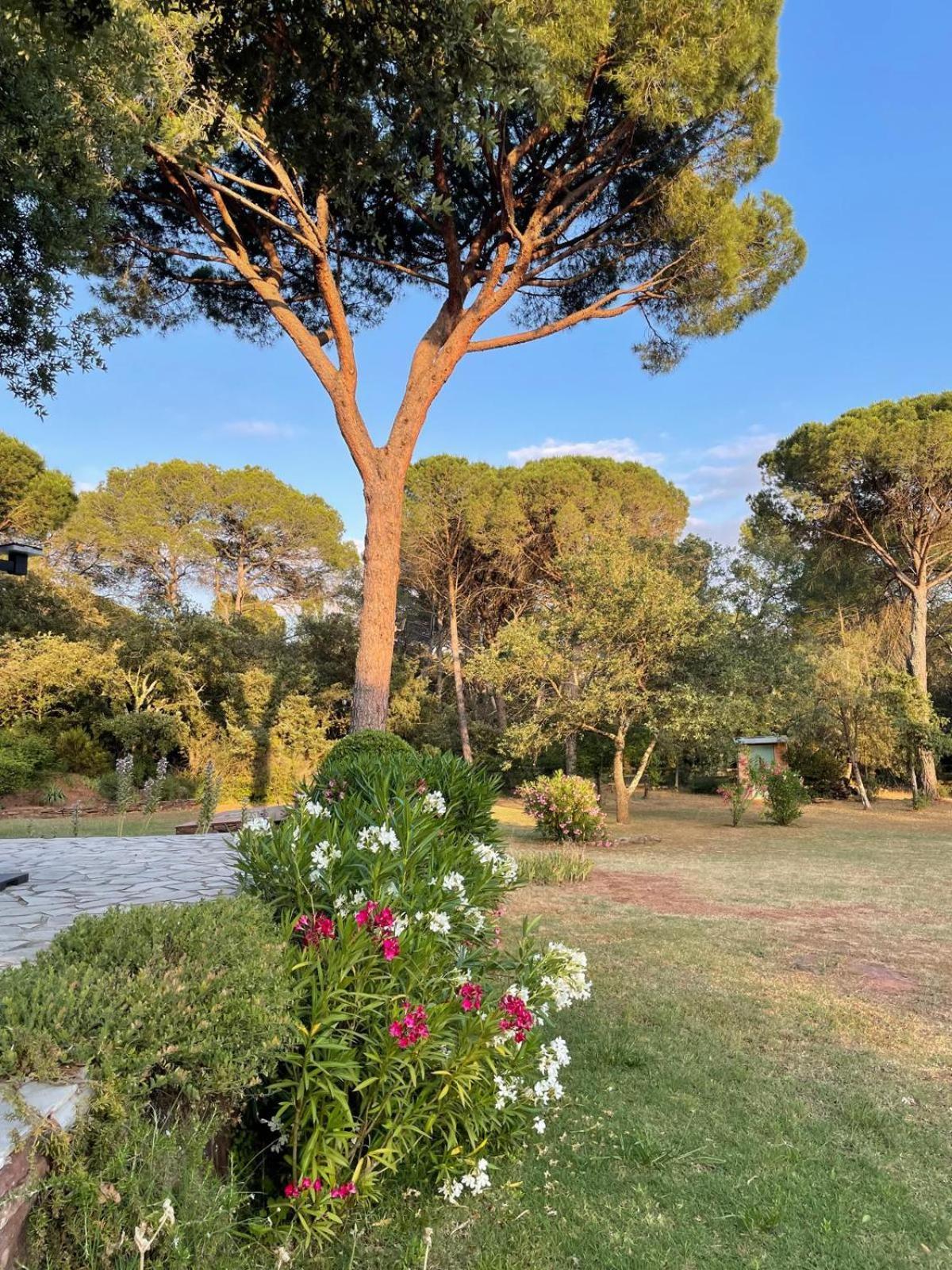 Résidence Gabrielle Le Cannet-des-Maures Exterior foto
